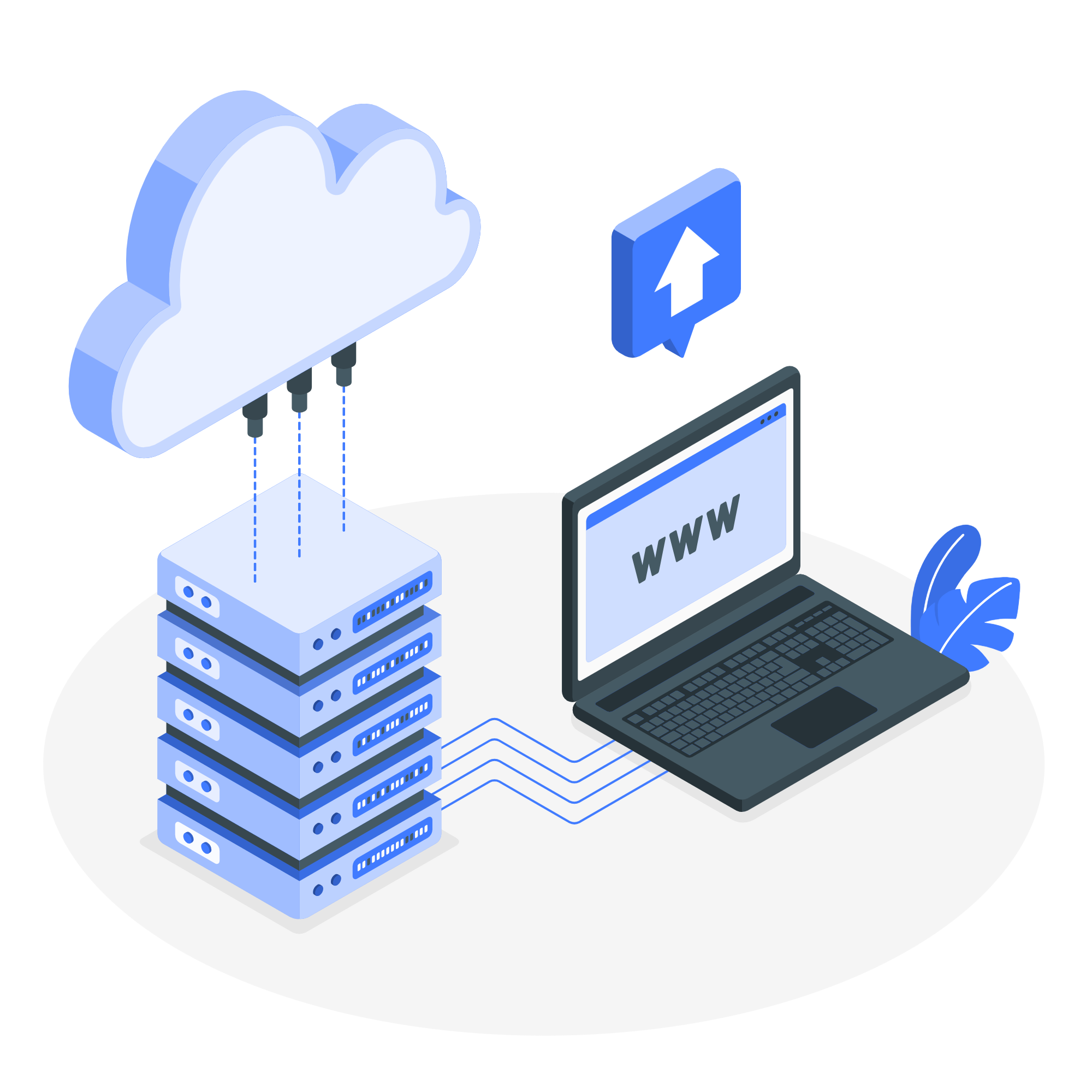 Cloud hosting-amico cloud backups